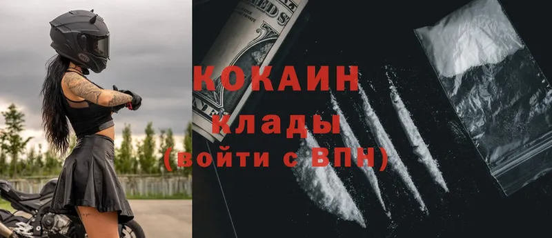 где купить   Бийск  COCAIN Fish Scale 